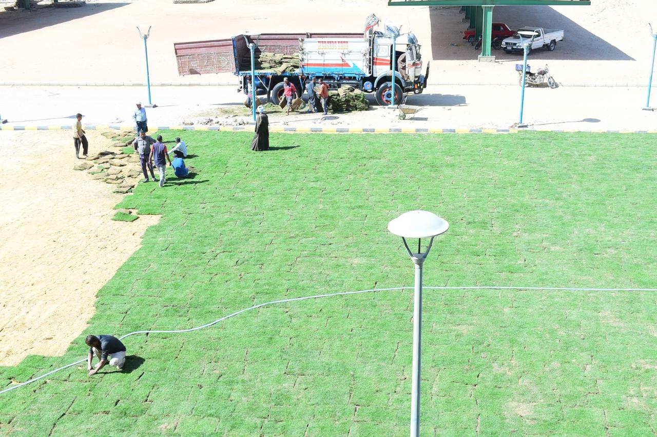 رئيس جامعة سوهاج يقود مبادرة لزراعة 750 مترًا من المساحات الخضراء بكلية الهندسة