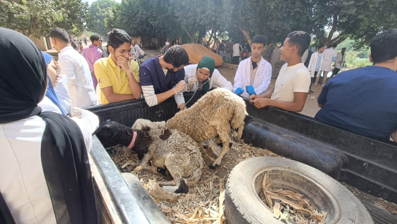 جامعة سوهاج تواصل إطلاق قوافلها البيطرية المجانية لقرية سفلاق