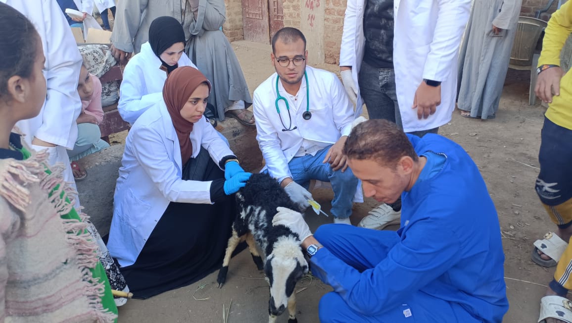 قوافل بيطرية مجانية من جامعة سوهاج تصل إلى قرية الرويهب