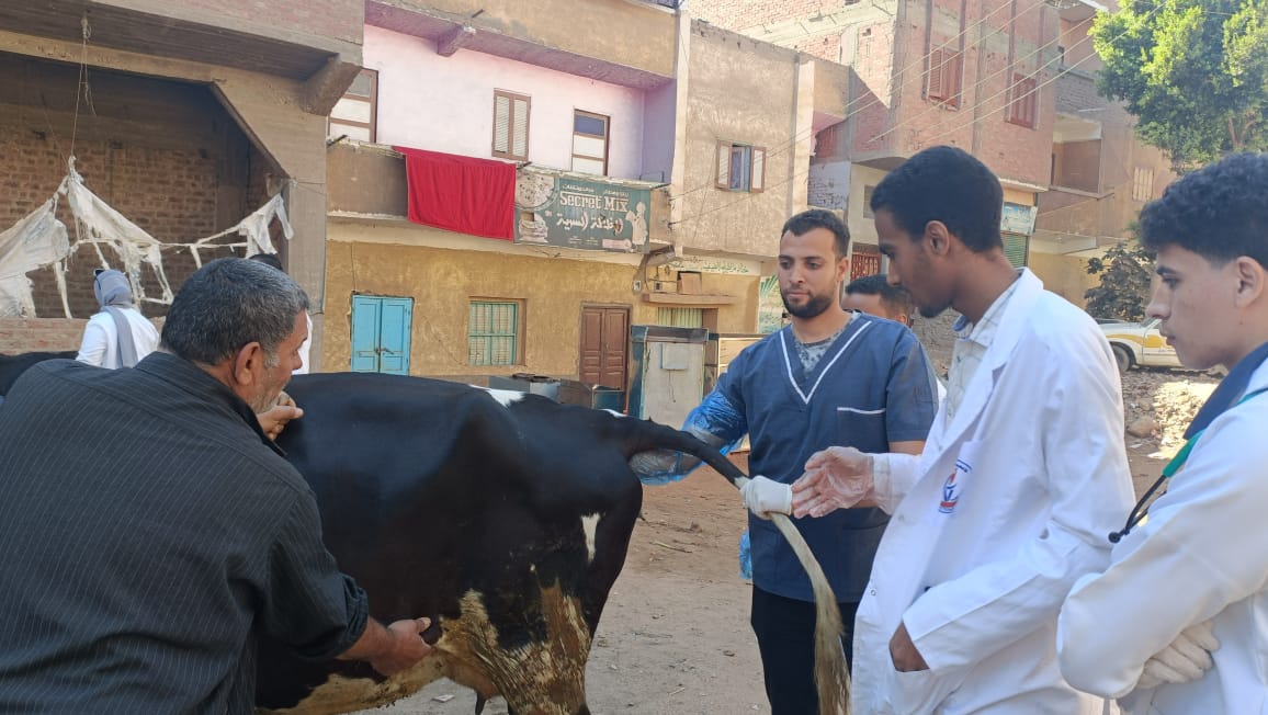 قوافل بيطرية مجانية من جامعة سوهاج تصل إلى قرية الرويهب