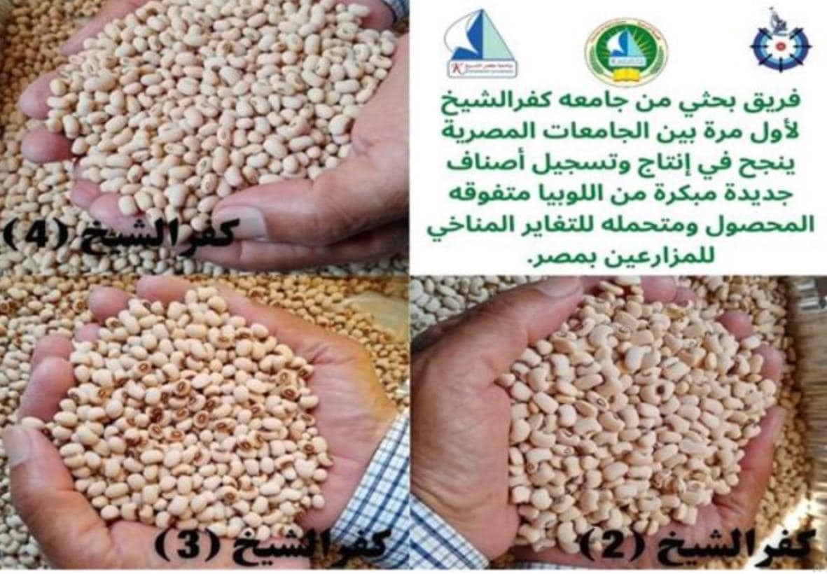 إنجازات أكاديمية البحث العلمي والتكنولوجيا في 2024