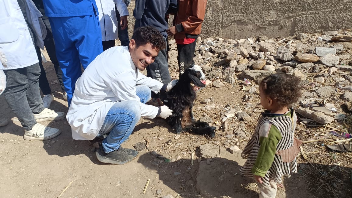 جامعة سوهاج تواصل إطلاق قوافلها البيطرية المجانية لقرية الكوله 