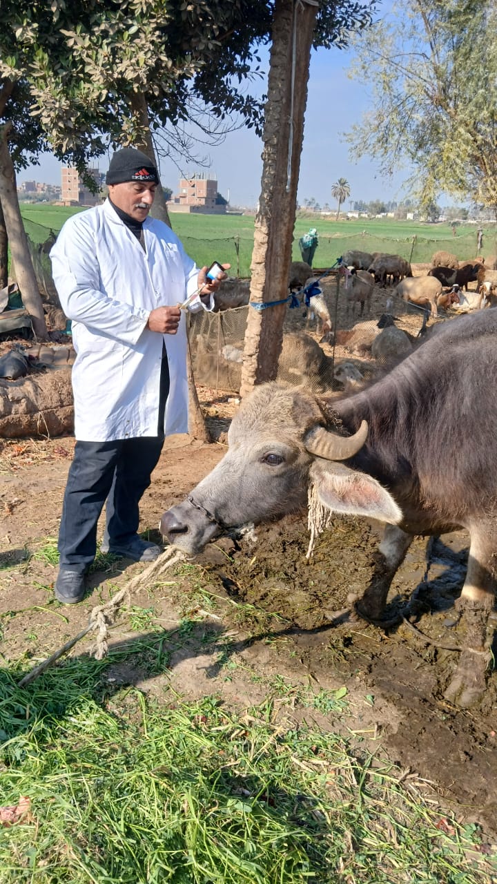 جامعة الزقازيق تُطلق قافلة بيطرية مجانية لخدمة قرية الشبانات
