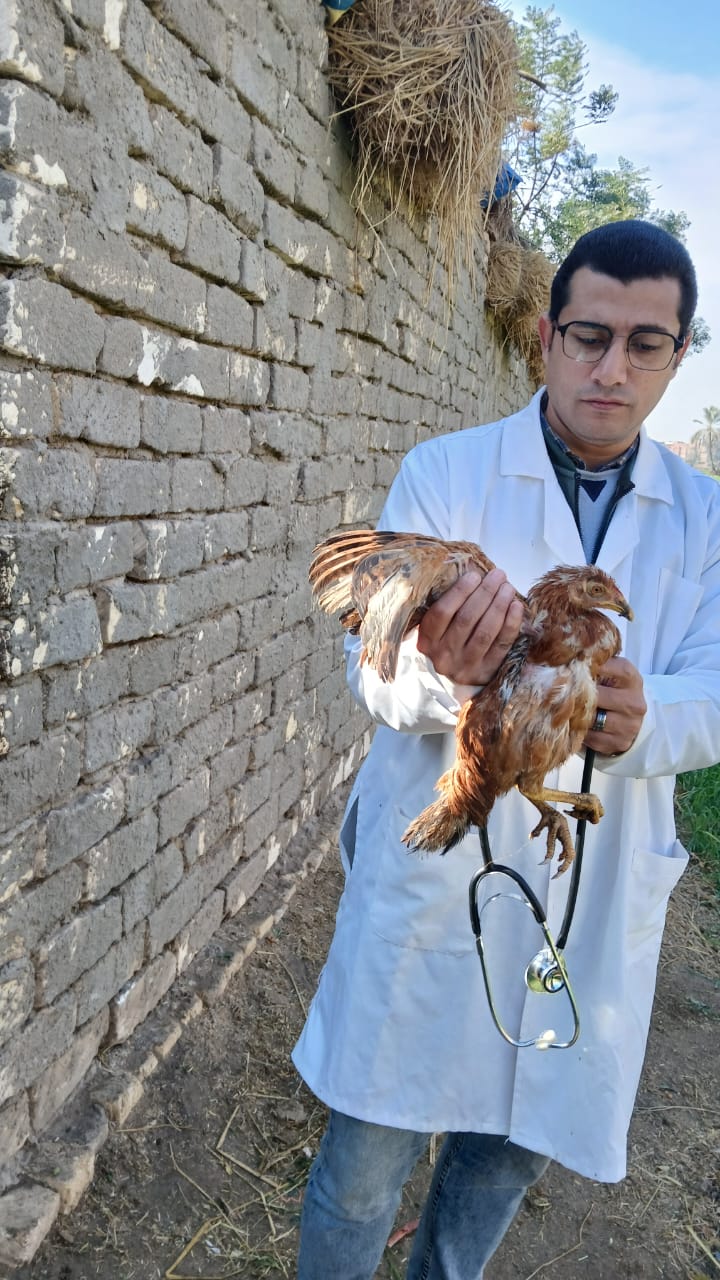 جامعة الزقازيق تُطلق قافلة بيطرية مجانية لخدمة قرية الشبانات