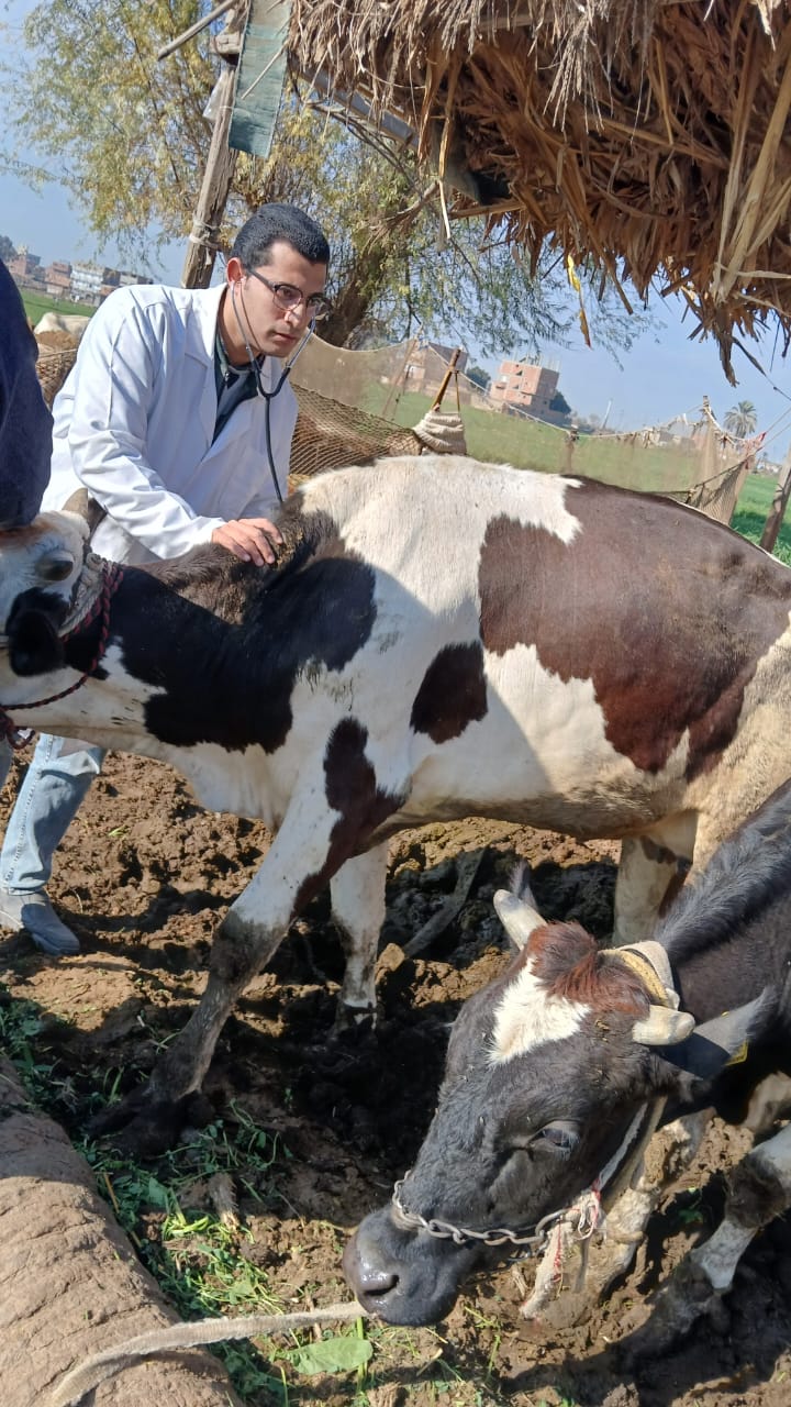 جامعة الزقازيق تُطلق قافلة بيطرية مجانية لخدمة قرية الشبانات