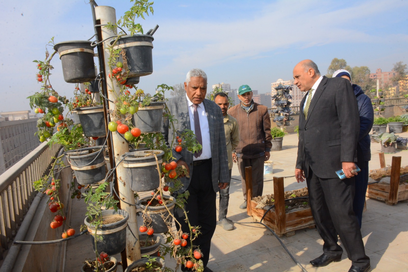 جامعة أسيوط تُطلق مبادرة لزراعة الأسطح دعمًا للاستدامة