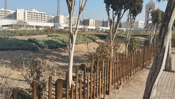 جامعة حلوان تنفذ تجربة رائدة للتعليم التطبيقي عبر مشروع تشغيل 1000 طالب