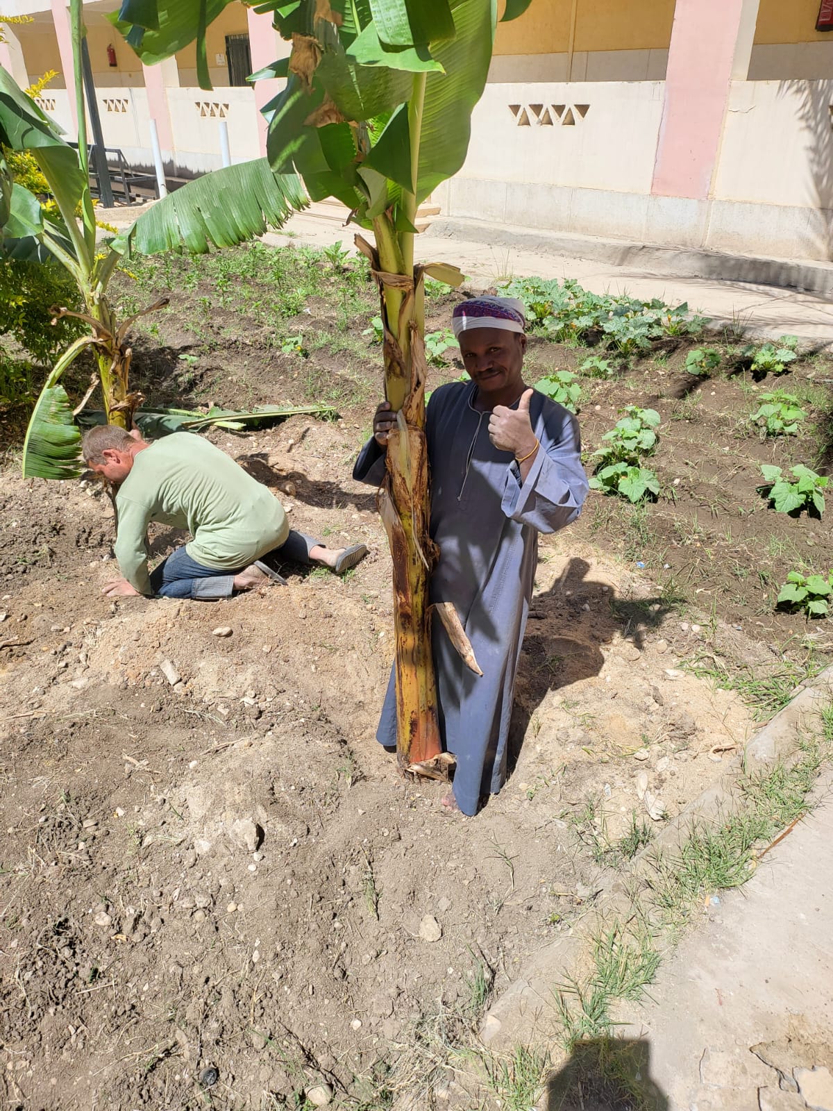 فعاليات الأسبوع البيئي الخامس بكلية السياحة
