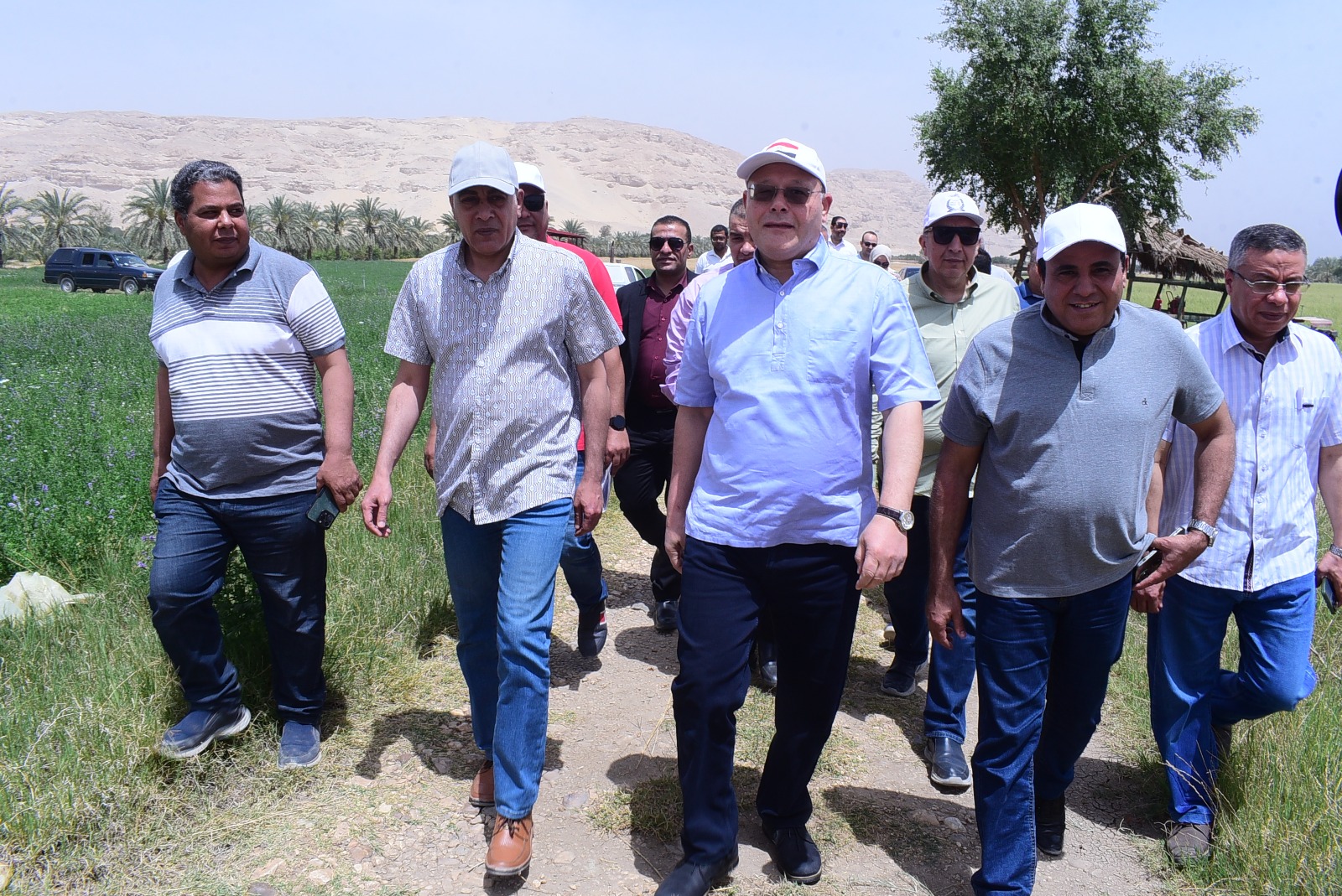 جامعة سوهاج تبدأ حصاد تقاوي القمح بمزرعتها التدريبية