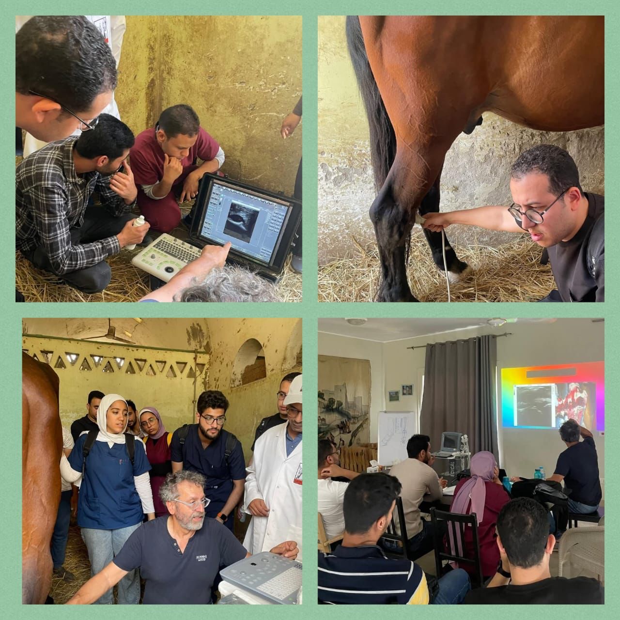 جامعة القاهرة تواصل ريادتها بأنشطة مجتمعية وبيئية مبتكرة