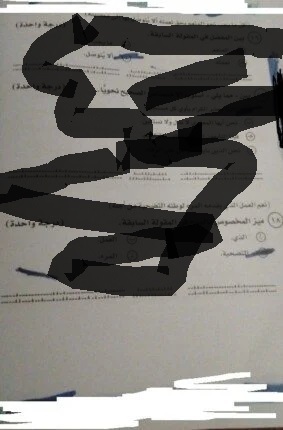 تداول امتحان اللغة العربية