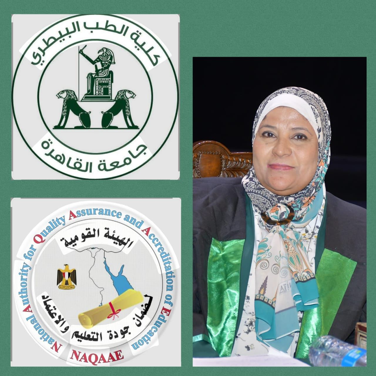 جامعة القاهرة تحصل علي تجديد الاعتماد المؤسسي والبرامجي لكلية الطب البيطري