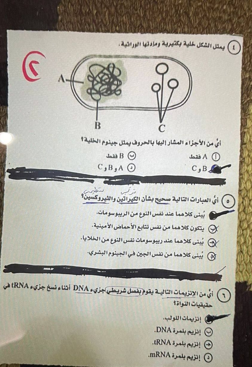 نموذج إجابة امتحان الأحياء للثانوية العامة 2025 لطلاب الشعبة علمى علوم