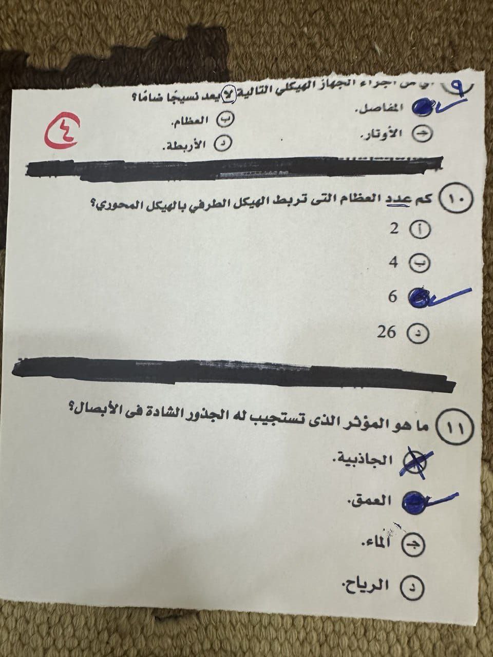 نموذج إجابة امتحان الأحياء للثانوية العامة 2025 لطلاب الشعبة علمى علوم