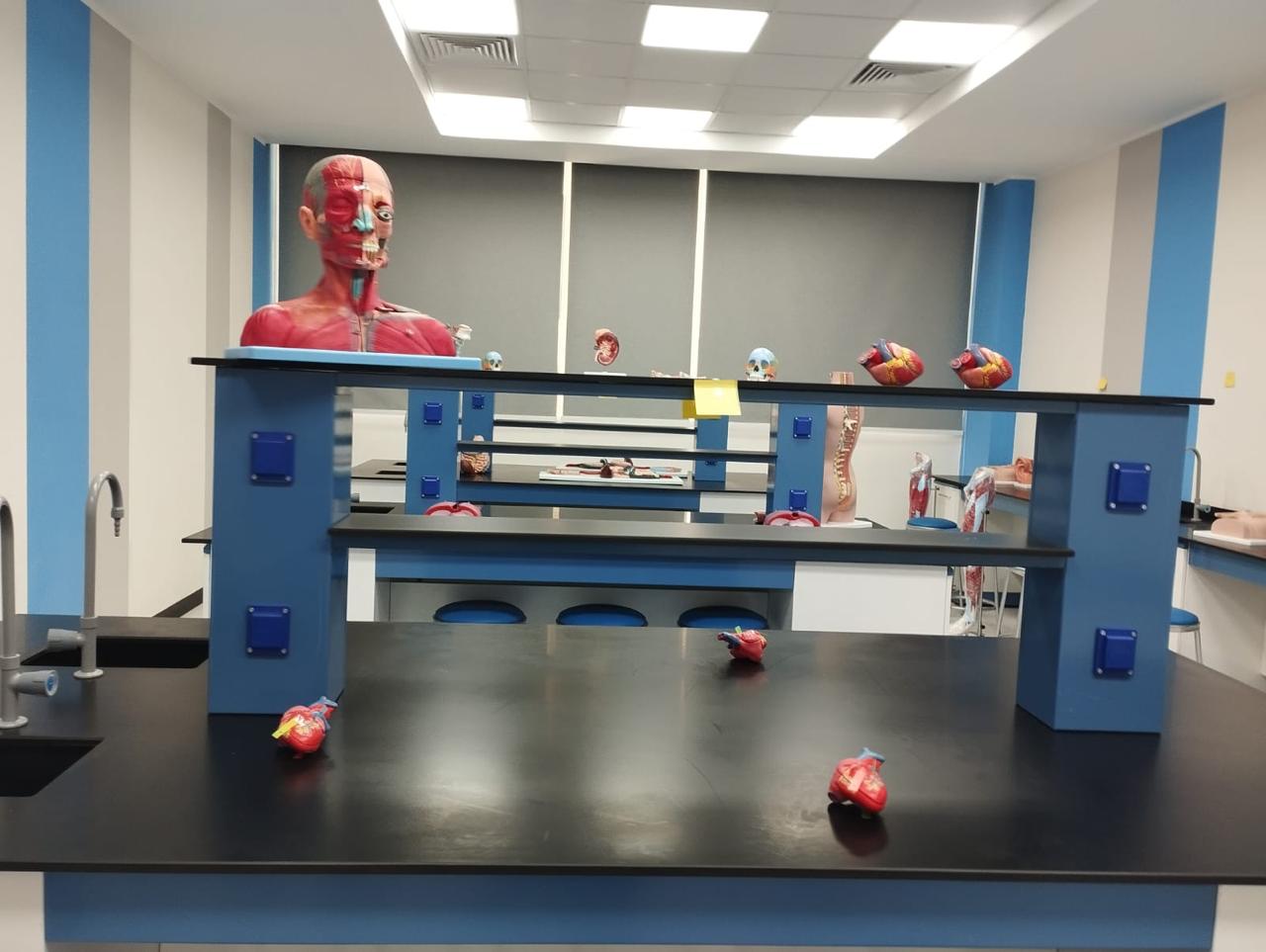 فرصة دراسية مميزة في جامعة ساكسوني مصر