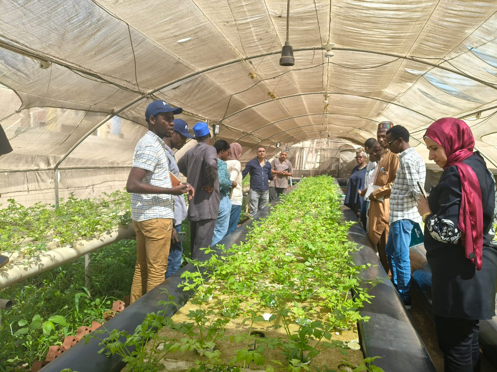 المعهد القومي لعلوم البحار والمصايد ينقل خبرات الاستزراع السمكي