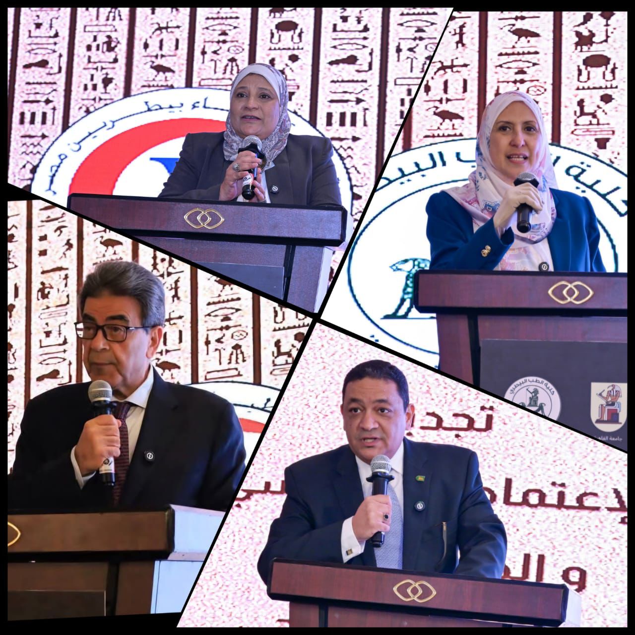 جامعة القاهرة تحتفل بتجديد اعتماد كلية الطب البيطري