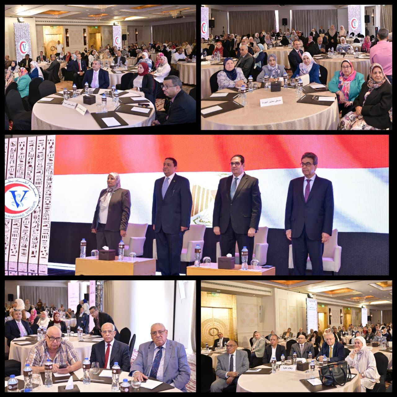 جامعة القاهرة تحتفل بتجديد اعتماد كلية الطب البيطري