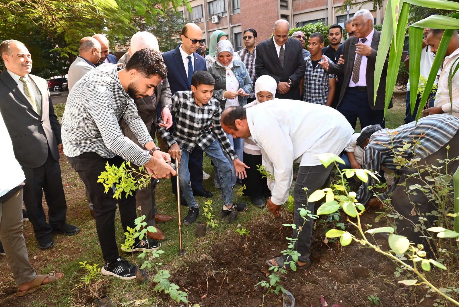 جامعة أسيوط تطلق مبادرة بصمة خضراء
