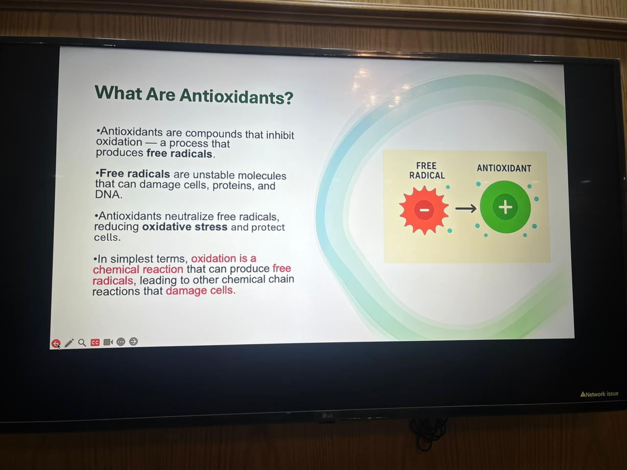 جامعة عين شمس تنظم ندوة عن الغذاء الصحي والوقاية من الأمراض