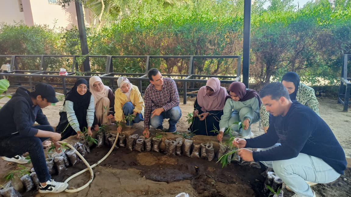مبادرة التشجير تعزز الاستدامة داخل جامعة الأقصر