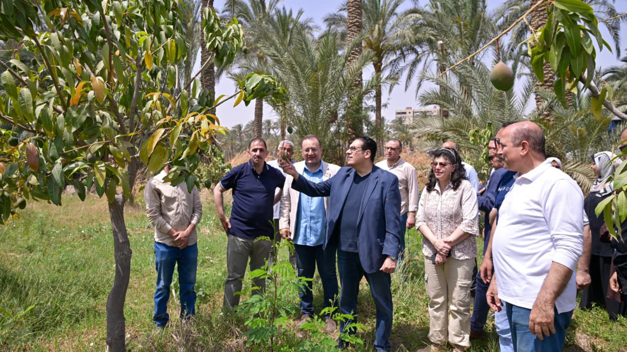جامعة القاهرة ترفع جاهزية محطة التجارب والبحوث الزراعية بكلية الزراعة للتدريب