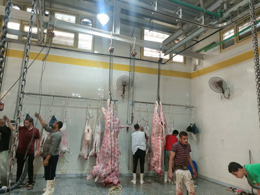 جامعة السادات تعلن جاهزية مجزر شبين الكوم لاستقبال الأضاحي