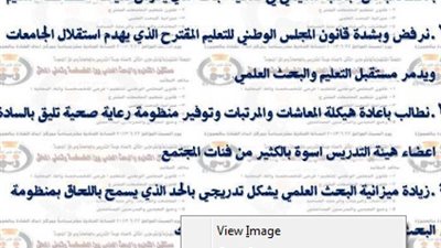 تباين آراء اساتذة الجامعات حول بيان مؤتمر مارس