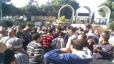 العاملون بجامعة اسيوط : 