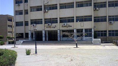 اتحاد هندسة الزقازيق ينعي زميلهم نيازي الذي توفي في احداث امس 