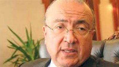 وصول السفير المصري من تركيا