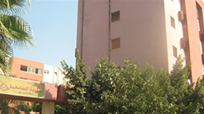 شبكة  انترنت بغرف المدن الجامعية ببنها 