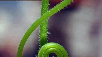 مبروك للدكتورة مروي 