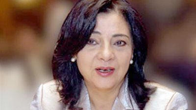 بالفيديو وزيرة الاعلام ..