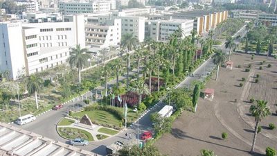 اشتباكات بين طلاب الاخوان والتيارات المدنية بجامعة المنصورة