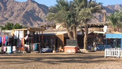 معلمو ادارة النخل .. انقذونا من ظلم مدير الادارة 