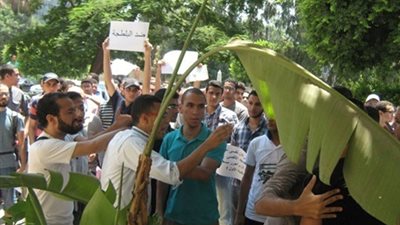 وقف جميع انشطة الاسر بكليه اداب جامعه عين شمس