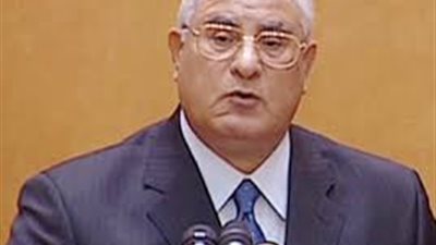 منصور يدعو نساء مصر للمشاركة في الاستفتاء على الدستور