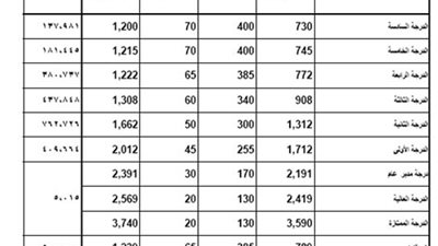جداول المستفيدين من الحد الأدنى للأجور بعد صدوره من المالية
