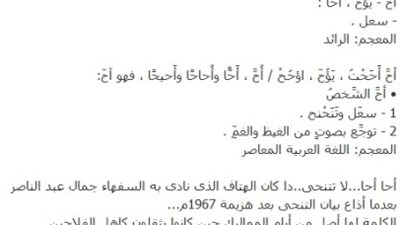 استاذ جامعة يصر علي استخدام كلمة 