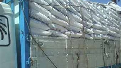 سيارة مهربة ورخصة مزورة مع مدرس وطالب باسيوط