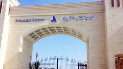 الأعلي للجامعات يضع خطة مواجهة انفلونزا الخنازير