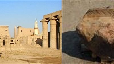 الآثار : اكتشاف الأجزاء المفقودة من تمثالى ممنون بالأقصر