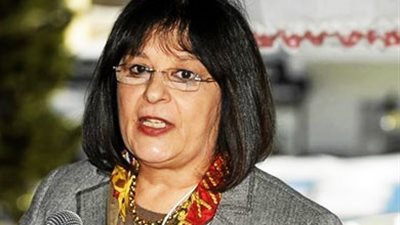 إسكندر: استراتيجية مستقبلية واضحة للعمل البيئى بمصر