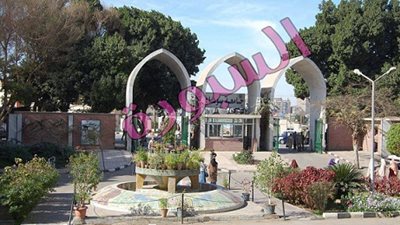 هندسة سوهاج تنظم رحلة علمية  لتدريب الطلاب وتأهيلهم لسوق العمل