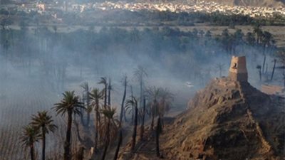 تعليم اسوان: اخلاء مدرسة بعد نشوب حريق فى النخيل بداخل المدرسة
