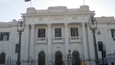 50 رأس ماشية للأرامل ومحدودى الدخل بالمنيا