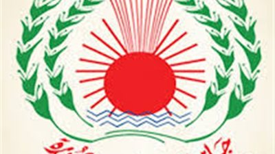 جامعة المنصورة تنفي رفع علم القاعدة خلال تظاهرات الطلاب اليوم