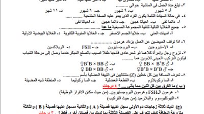 نماذج امتحانات 