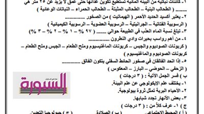 نماذج امتحانات 